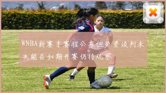 WNBA新赛季赛程公布但劳资谈判未决能否如期开赛仍待观察
