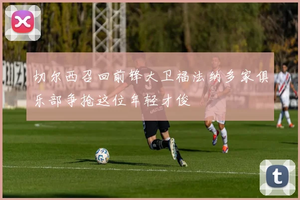 切尔西召回前锋大卫福法纳多家俱乐部争抢这位年轻才俊