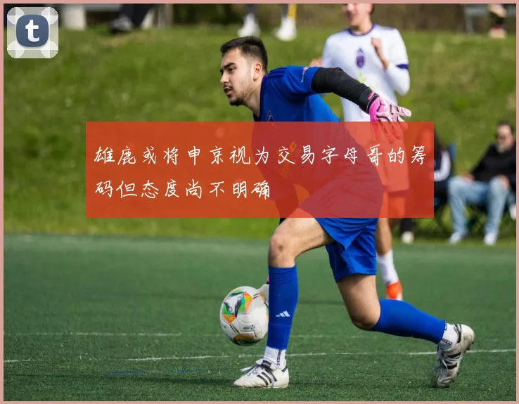 雄鹿或将申京视为交易字母哥的筹码但态度尚不明确