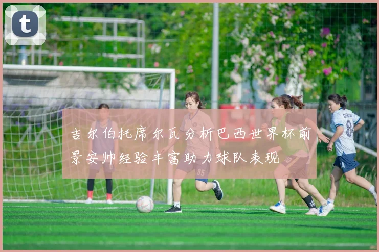 吉尔伯托席尔瓦分析巴西世界杯前景安帅经验丰富助力球队表现